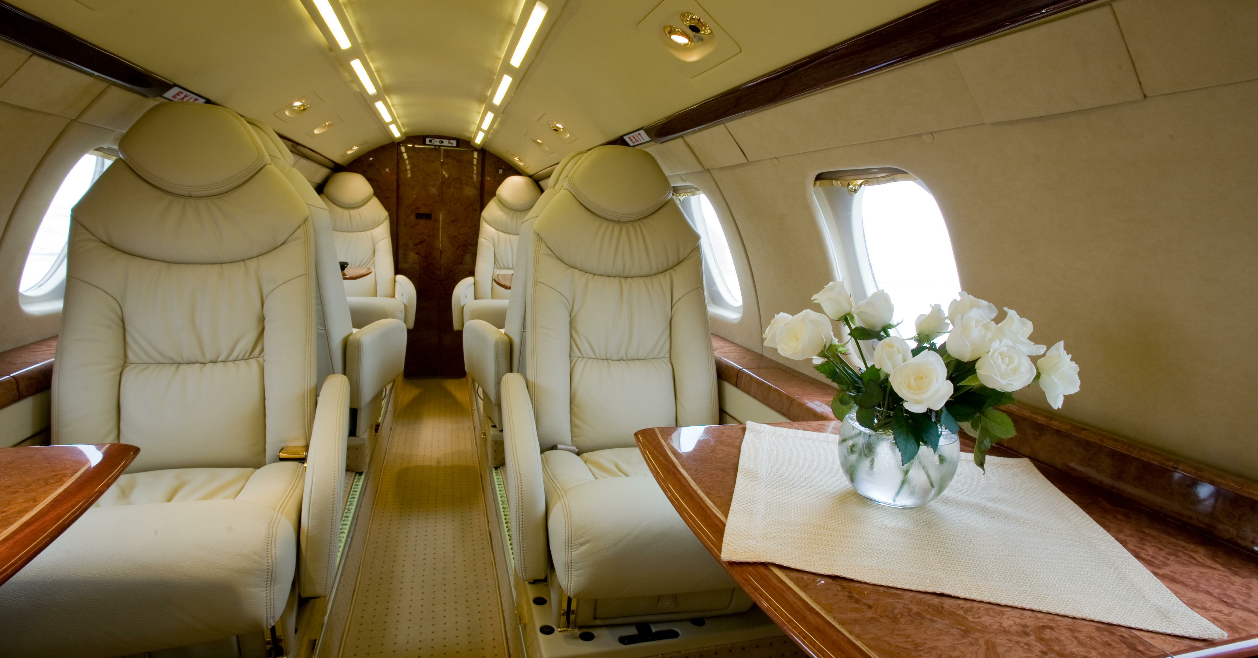 Private aircraft cabin with seating and windows